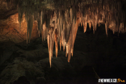 Carlsbad Caverns 12-10-dm 11