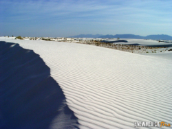 White Sands WS Dune Edge-dm